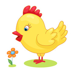 Cute hand drawn chick cock chicken yellow kids cartoon vector illustration on white background. Baby shower isolated