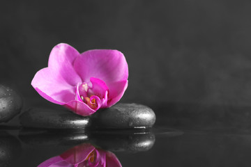 Obraz na płótnie Canvas Spa stones with orchid flower on dark background