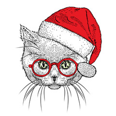 Cute kitten in a Christmas hat and sunglasses. Vector illustration.