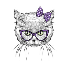 Cute kitten wearing glasses and a bow. Vector illustration. Drawing for greeting cards, prints on clothes or poster. Girl.