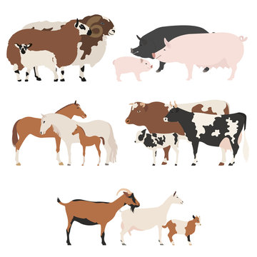 Farm animall family collection. Cattle, sheep, pig, horse, goat
