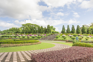 flower garden In Chiang Rai