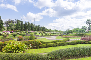 flower garden In Chiang Rai