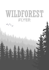 Fototapeta na wymiar Wild coniferous forest flyer background. Pine tree, landscape nature, wood natural panorama.