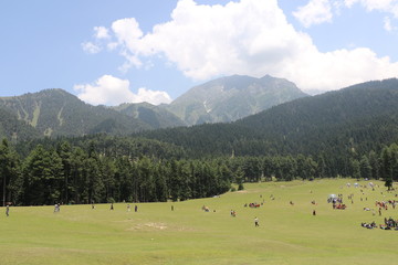 Fototapeta na wymiar The beauty of the Pahalgam Valley in Jammu & Kashmir in summer. 
