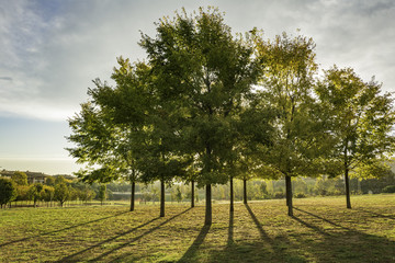 A comienzos del otoño