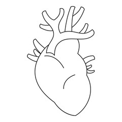 Heart icon. Outline illustration of heart vector icon for web