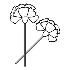 Carnation icon. Outline illustration of carnation vector icon for web