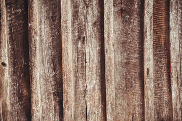 Fototapeta premium the brown old wood texture with knot