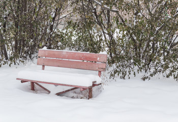 park bench covered in snow with winter  trees on background
