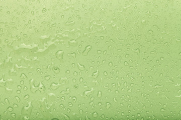 Drops of water on a color background. Green. Selective focus. Sh