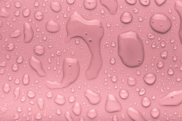Drops of water on a color background. Pink. Shallow depth of fie