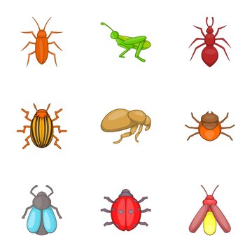 Bugs icons set. Cartoon illustration of 9 bugs vector icons for web