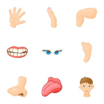 Body parts icons set. Cartoon illustration of 9 body parts vector icons for web