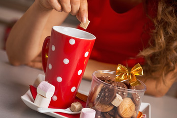 Closeup on young woman with christmas snacks