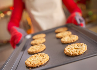 Closeup on pan with christmas cookies in hand of housewife