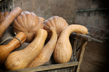 Calabazas