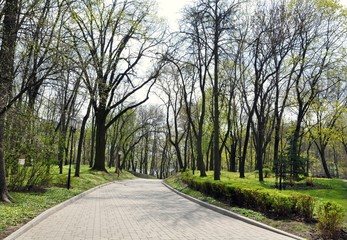 paths of the old Park