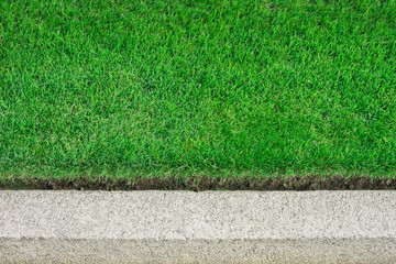 Sauber geschnittene Rasenkante an Bordstein - Clean cut lawn edge on curb