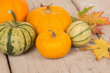 Variety of green and orange pumpkins and leaves on a white washed scaffolding wooden plank background
