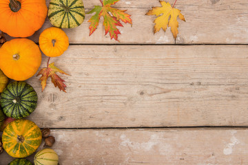 Variety of green and orange pumpkins and leaves seen from above on a white washed scaffolding wooden plank background