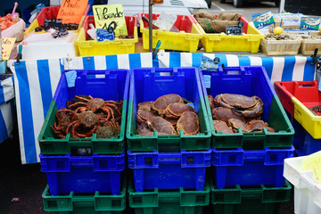 F, Bretagne, Finistère, Markt in Roscoff, Marktstand mit Krebsen und Muscheln in leuchtend blauen...
