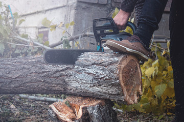 A man cutting tree with chainsaw