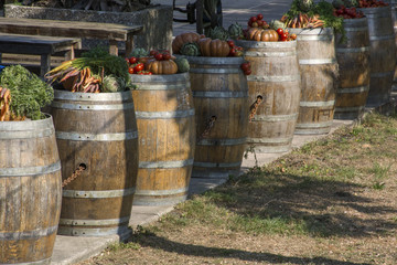 Big harvest of different vegetables on the barrels in the sunlight
