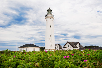 Fototapeta na wymiar Lighthouse in Denmark