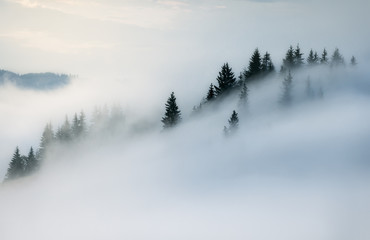 Ukraine. Carpathians. Dzembronya. Mount smoke