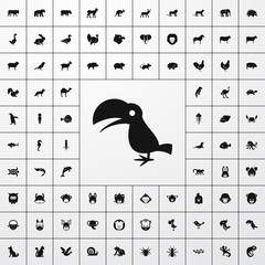 toucan icon illustration