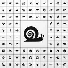 snail icon illustration