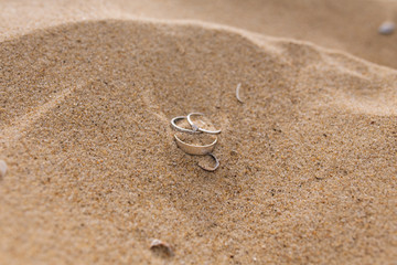 Fototapeta na wymiar white gold wedding rings on the sand