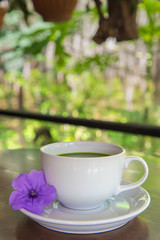 Hot green tea matcha