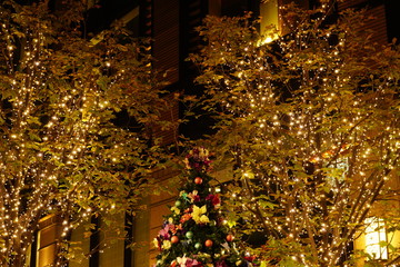 クリスマスツリーとイルミネーション
