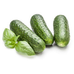 Cucumber vegetable and basil leaves isolated on white background