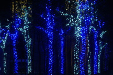 クリスマスイルミネーション