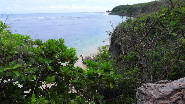 Ocean from the cliffs. Many beautiful asian plants and trees. Sunny day, amazing clouds. Quiet place. Bali, Indonesia.