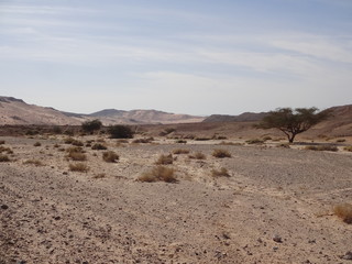 Désert de Jordanie