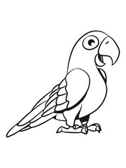 Obraz premium Parrot sweet