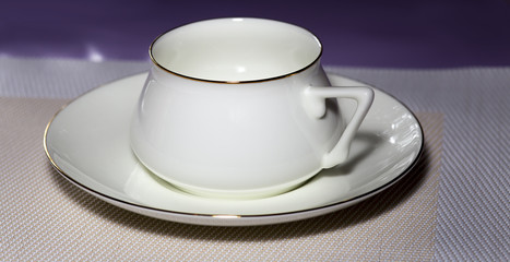Porcelain cup and plate. Imperial factory. Russia