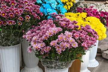 Fresh flowers on display outdoors
