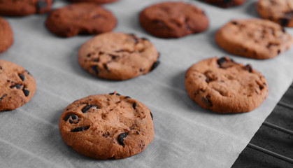 Freshly baked cookies on tray rack