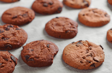 Freshly baked cookies on tray rack