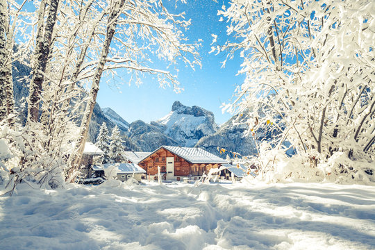 Snowy Dreams