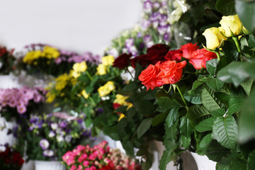 Fototapeta na wymiar Assortment of beautiful flowers at floral shop