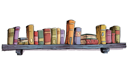 estanteria con muchos libros © cirodelia