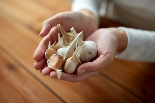 woman hands holding garlic
