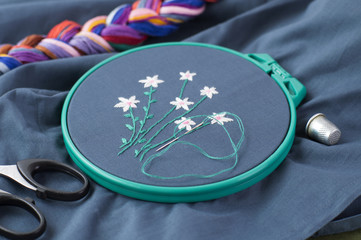 Embroidery stitch, needlework