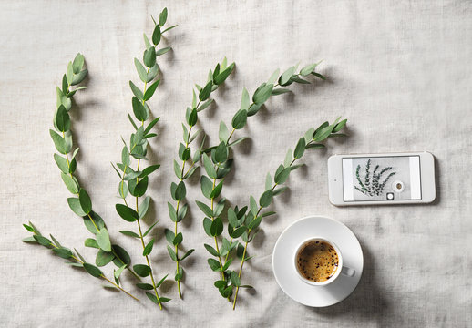 Green eucalyptus branches with cup of coffee on table